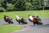 Advanced Group Orange Bikes